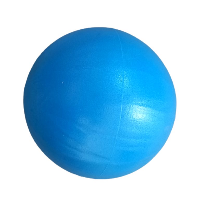 توپ پیلاتس قطر ۲۵ سانتی متر